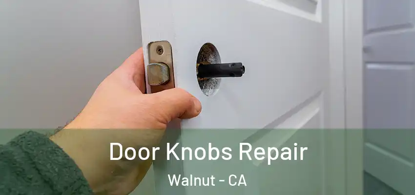 Door Knobs Repair Walnut - CA