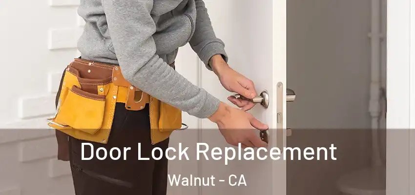  Door Lock Replacement Walnut - CA