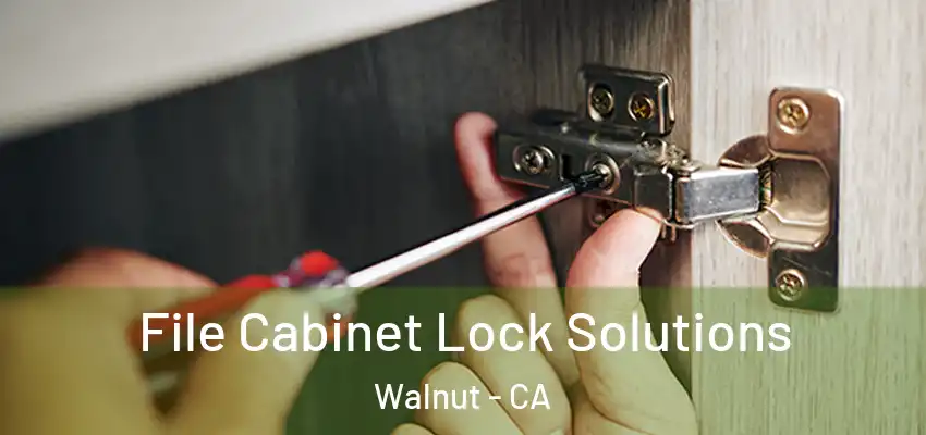  File Cabinet Lock Solutions Walnut - CA
