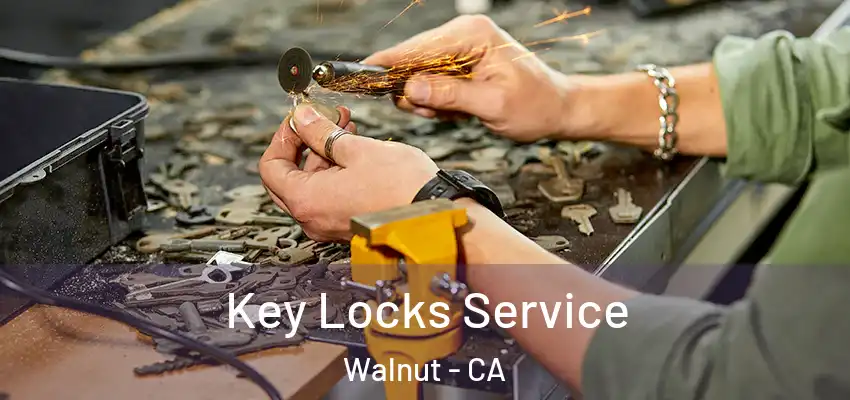  Key Locks Service Walnut - CA