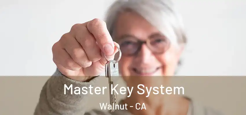 Master Key System Walnut - CA